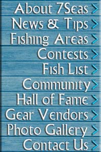 (Navigation Menu)